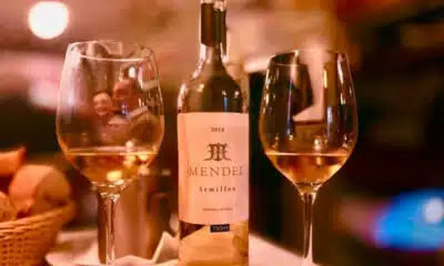 Vinhos Brancos Argentinos: A Revolução que Conquista o Mundo!